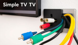 TV Dose: Erklärung, 2- und 3-Anschlüsse anschließen